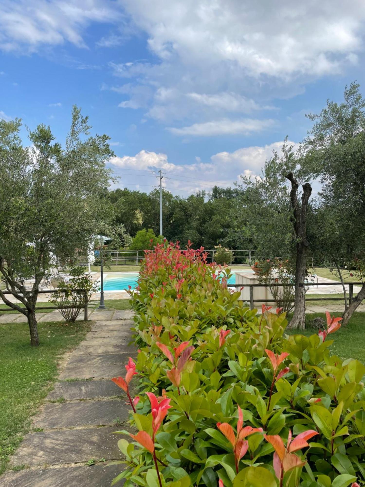 Montenovo Country House Ostra Vetere Exteriör bild