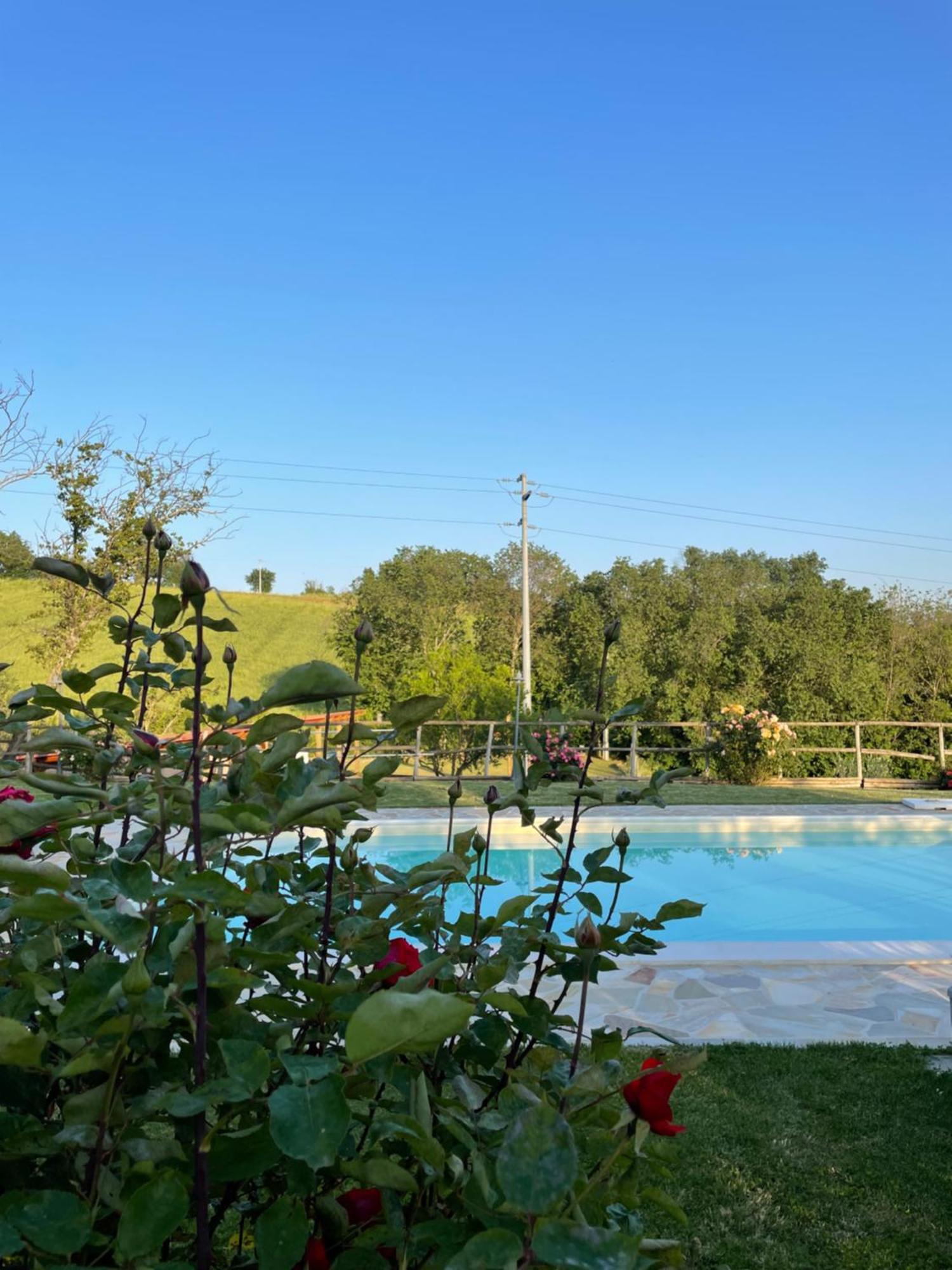 Montenovo Country House Ostra Vetere Exteriör bild