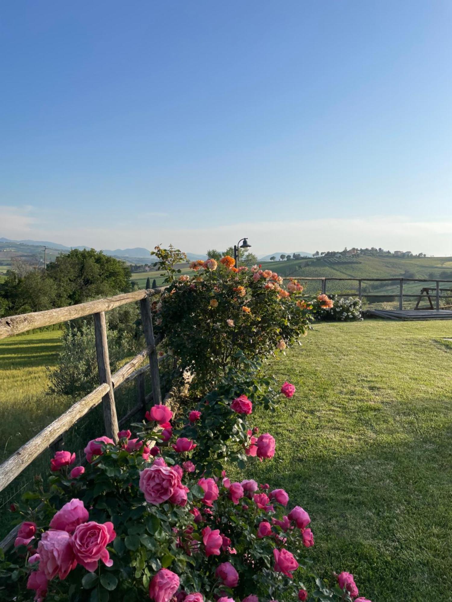 Montenovo Country House Ostra Vetere Exteriör bild