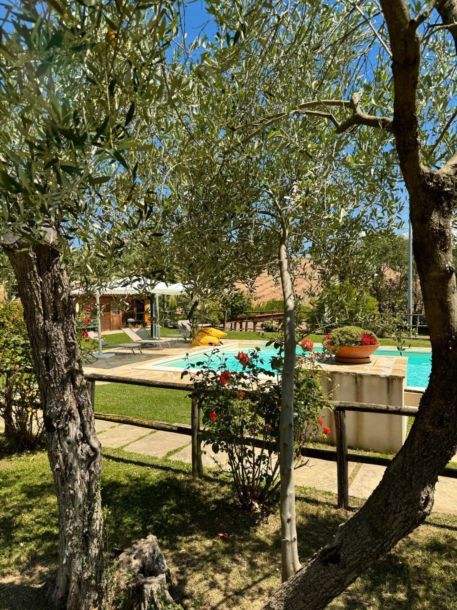 Montenovo Country House Ostra Vetere Exteriör bild